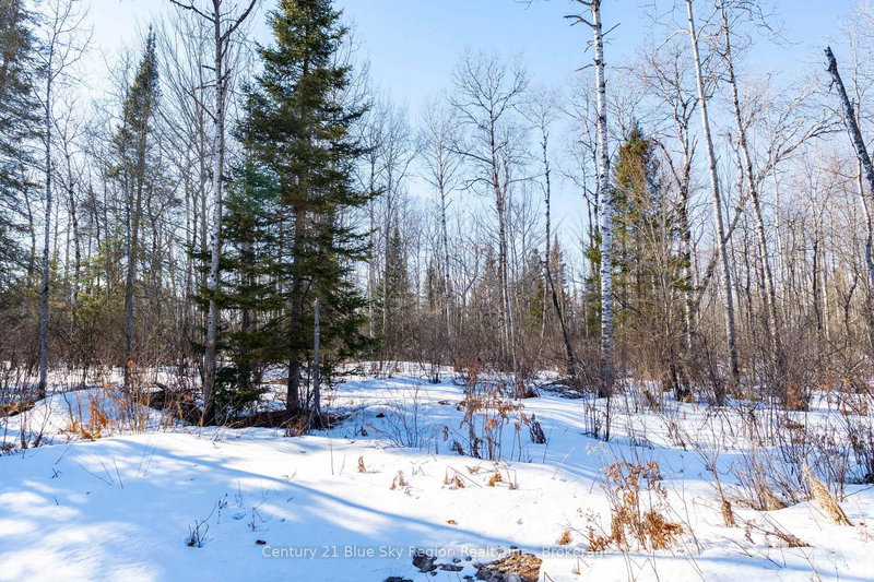 37 MacPherson Dr, East Ferris, P0H 1K0 | Image 3