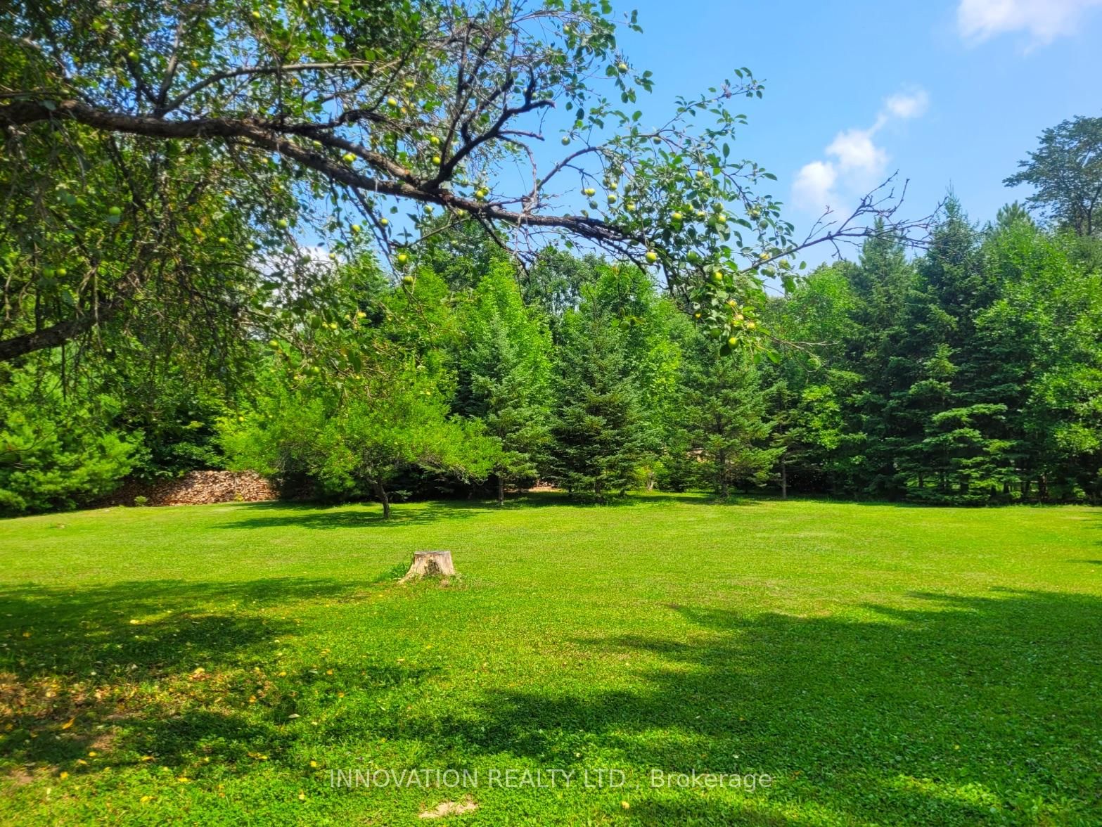 270 Maclarens Side Road • Ottawa, ON photo 38
