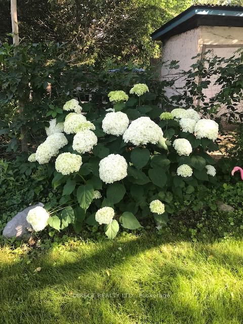 22498 Loyalist Parkway - Photo 36