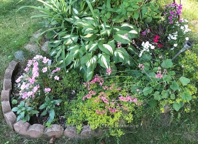 22498 Loyalist Parkway - Photo 38