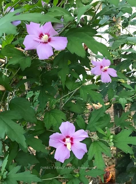 22498 Loyalist Parkway - Photo 40