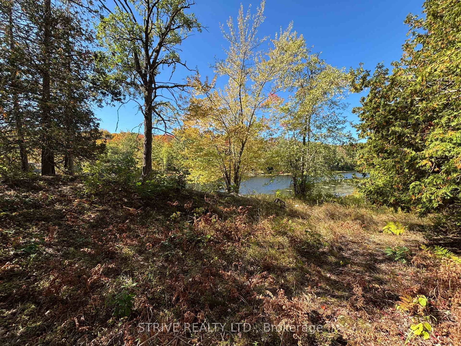 206I Kehoe Lane • Tweed, ON photo 10