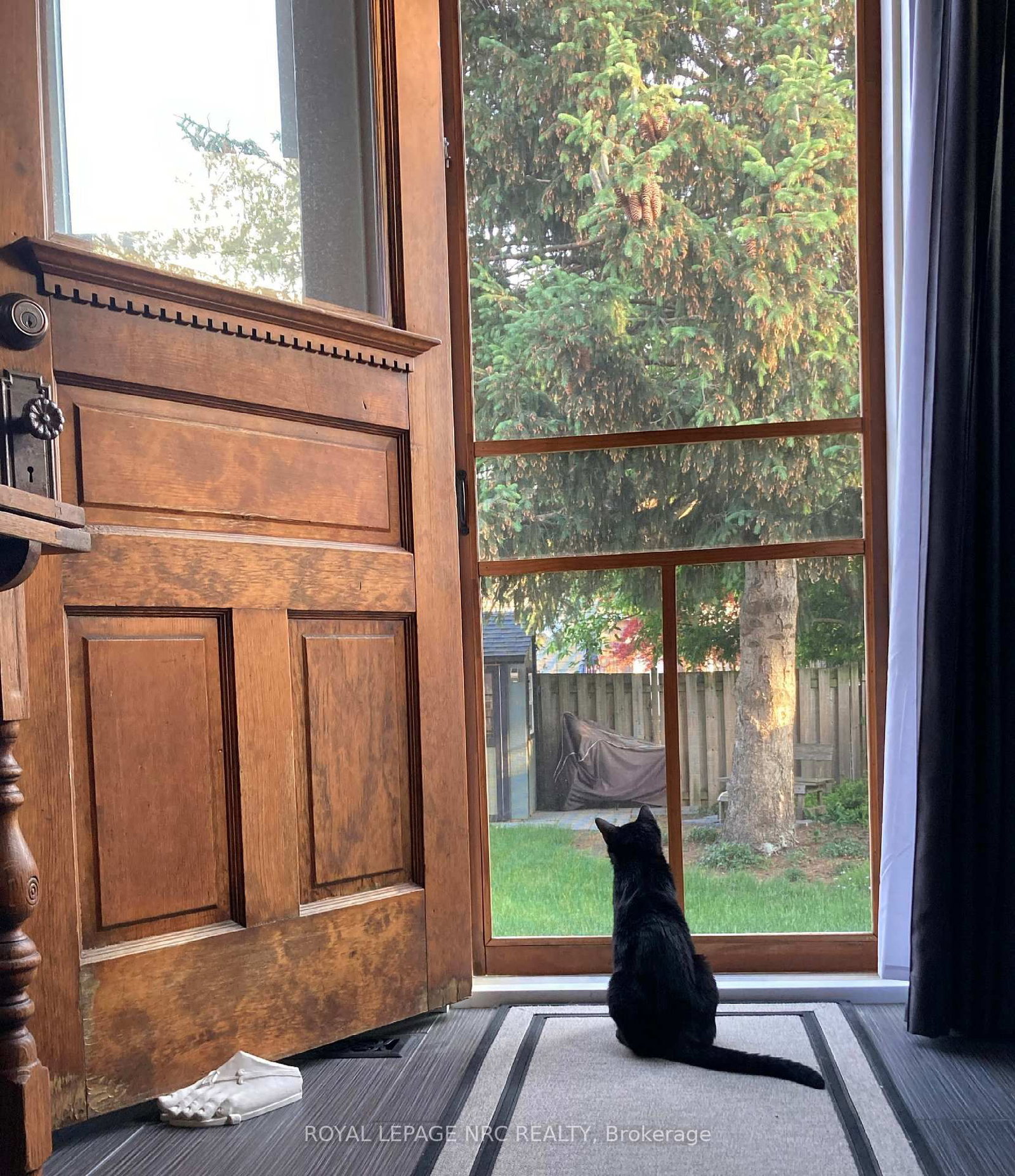 Detached House for sale at 51 Chaplin Avenue, St. Catharines, Ontario, L2R 2E4 - Downtown - MLS: X12981638