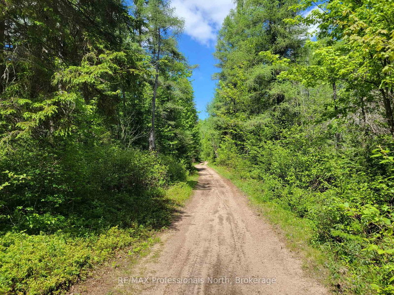 0 Dufferin St, South River, P0A 1X0 | Image 2