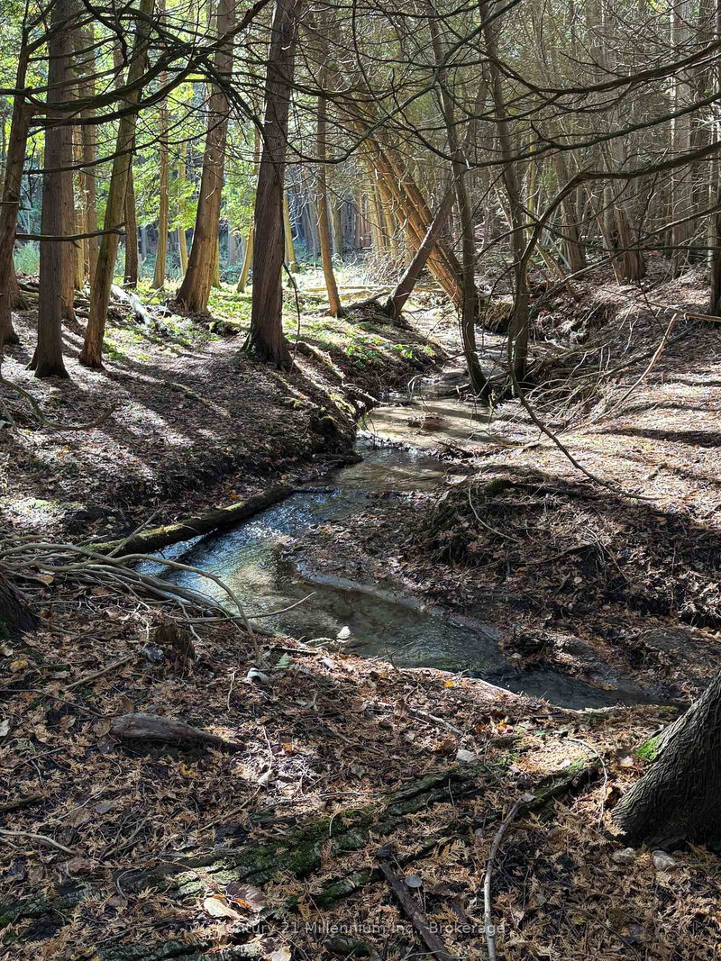 627383 15 Side Rd, Mulmur, L0N 1M0 | Image 2