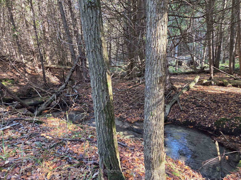 627383 15 Side Rd, Mulmur, L0N 1M0 | Image 3