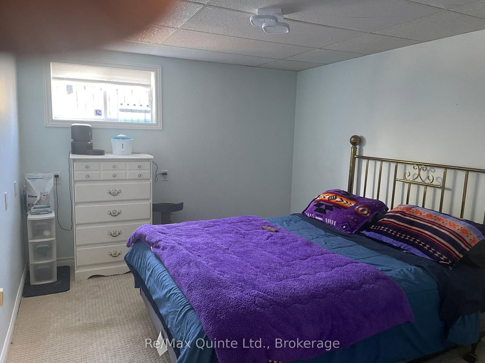 1752 County Road 3 • Prince Edward County, ON photo 25