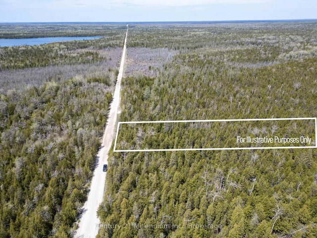 LT 12 CON 2 WBR LINDSAY