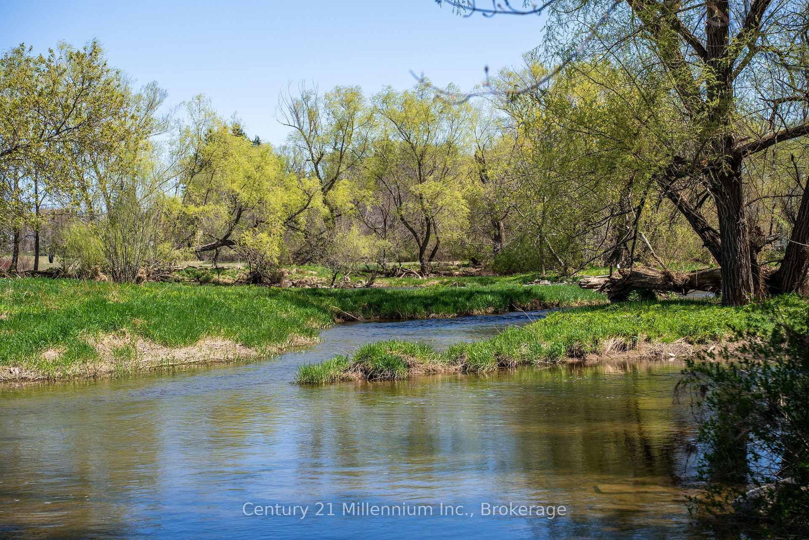 142 Mill Street - Photo 5