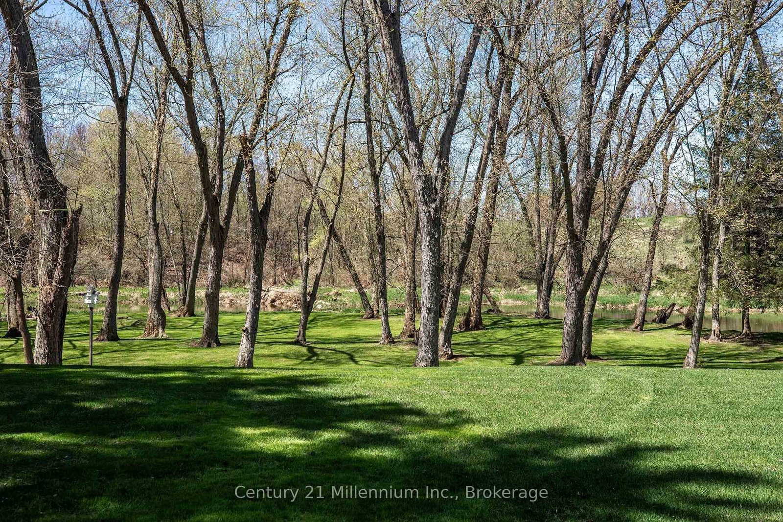 142 Mill Street - Photo 6