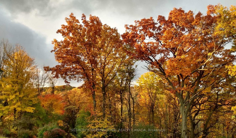 20 Ridgeview Crt, Hamilton, L9G 3X9 | Image 3