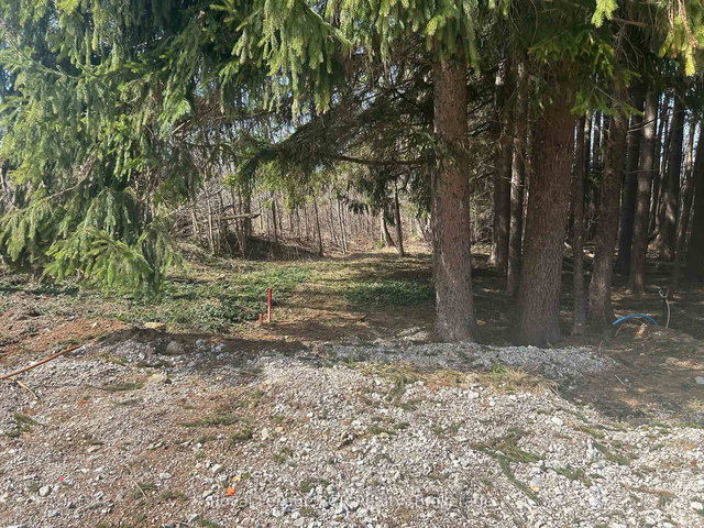 PTLT9-10 McNaughton Street