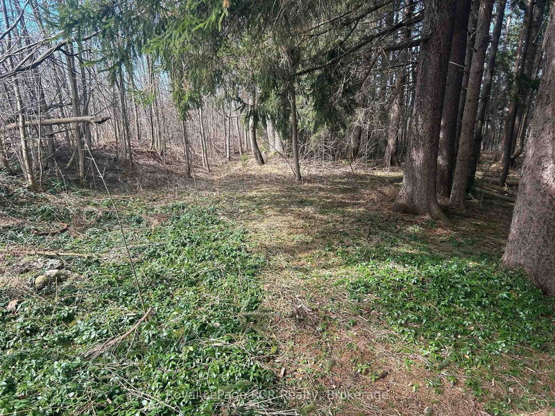 PTLT9-10 McNaughton St, South Bruce Peninsula, N0H 2T0 | Image 3