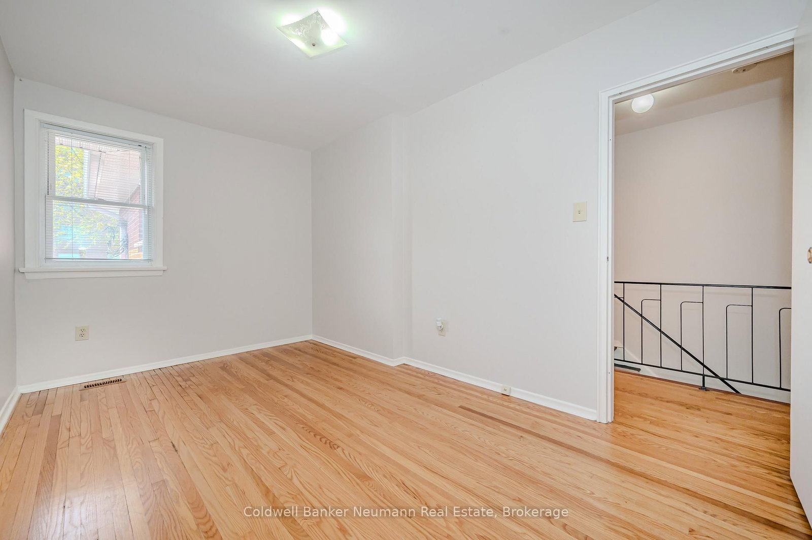 144 PRINCETON Drive - Photo 11