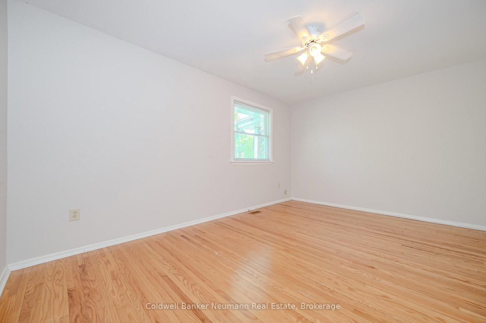 144 PRINCETON Drive - Photo 13