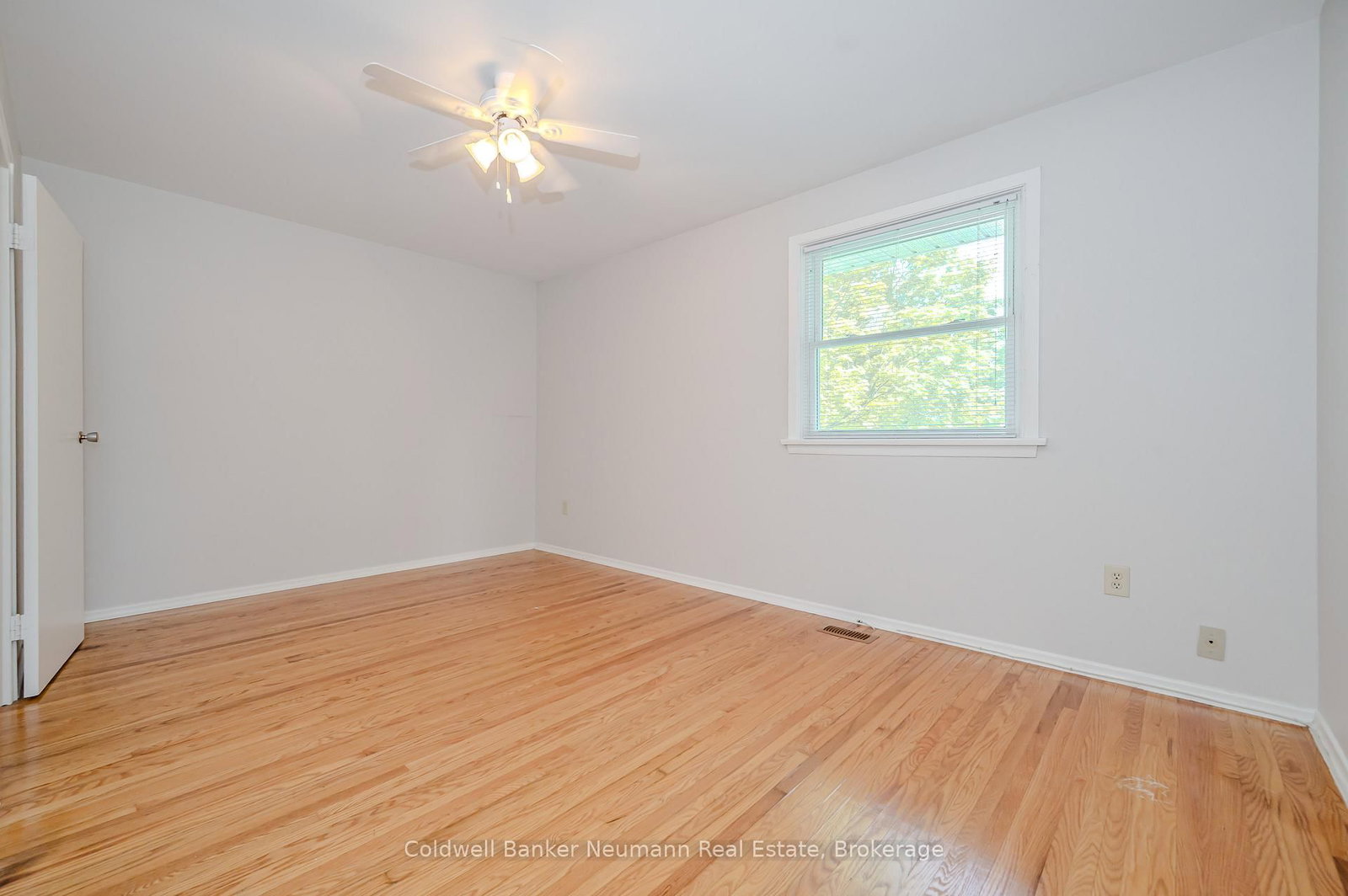 144 PRINCETON Drive - Photo 14