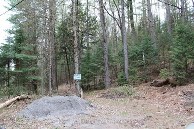 1019 Forrester Trail — photo 5
