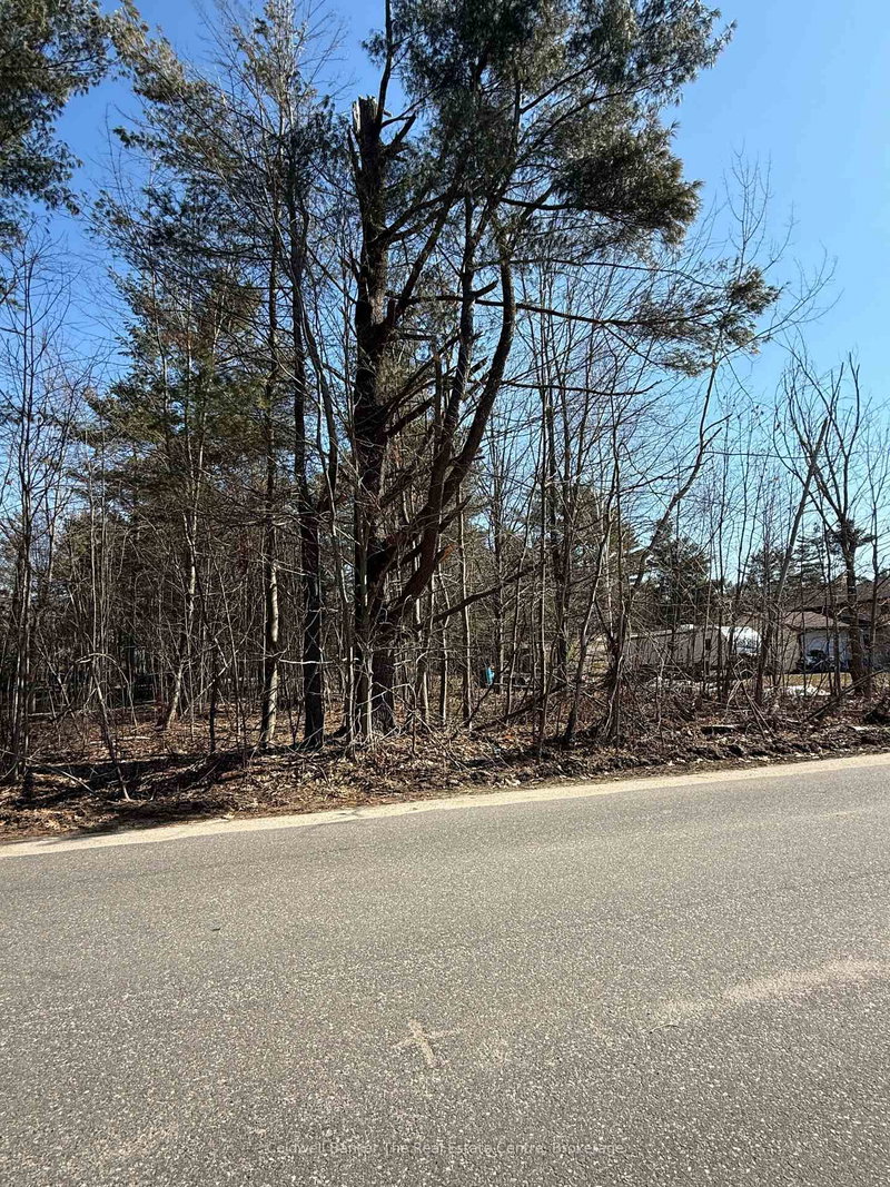 Vacant Lot Pinedale Rd, Gravenhurst, P1P 1L5 | Image 3