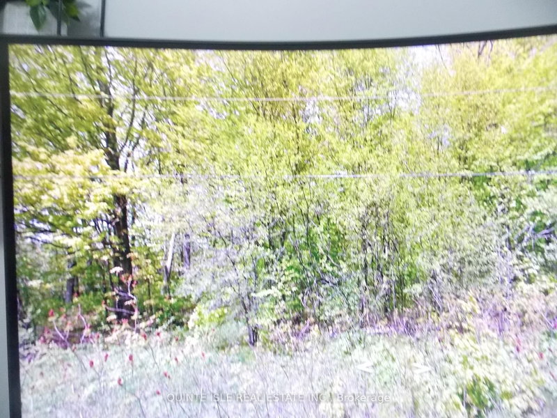 home for sale on PT LOT 18 GREER  RD Road S