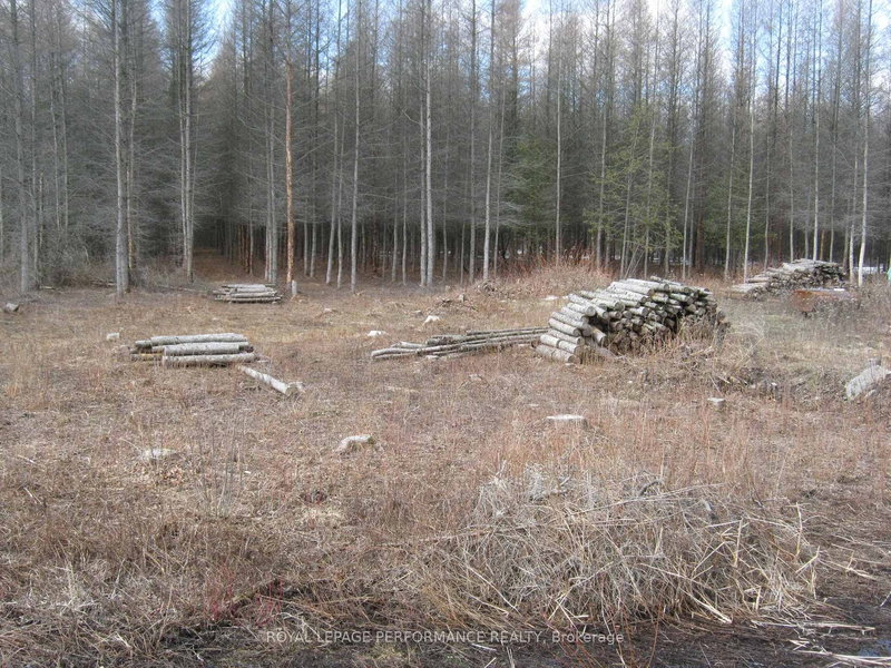 00 Dornie Rd N, North Glengarry, K0C 1A0 | Image 3