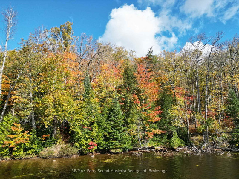 353C BALSAM CREEK Rd, Parry Sound Remote Area, P0H 1S0 | Image 2