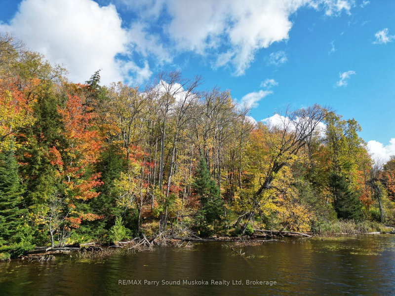 353C BALSAM CREEK Rd, Parry Sound Remote Area, P0H 1S0 | Image 3