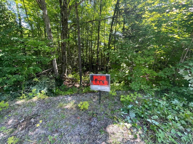 Part 2 - 00 Rye Road