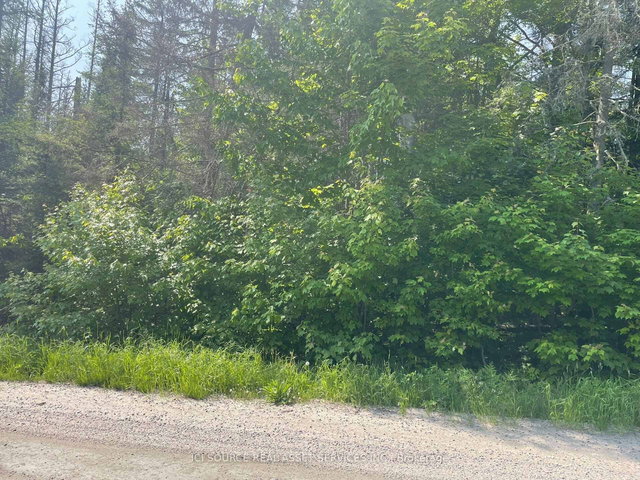 Part 2 - 00 Rye Road