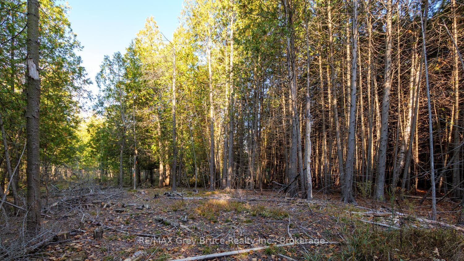 not assigned Sauble Falls Parkway • South Bruce Peninsula, ON photo 31