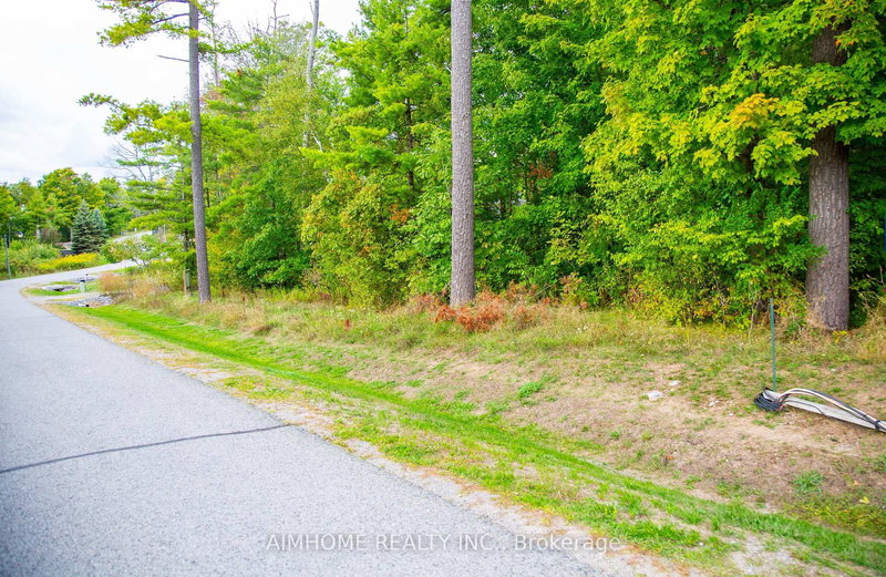 LOT 39 Fire Route 70, Trent Lakes, K0L 1K0 | Image 2