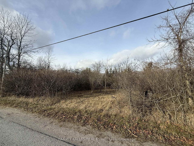 Beside 2885 County Road 10