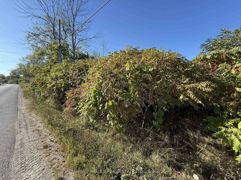Beside 2885 County Road 10