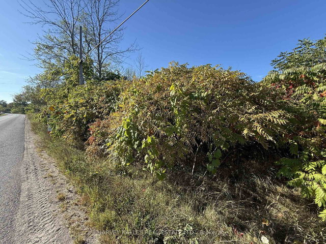 Beside 2885 County Road 10