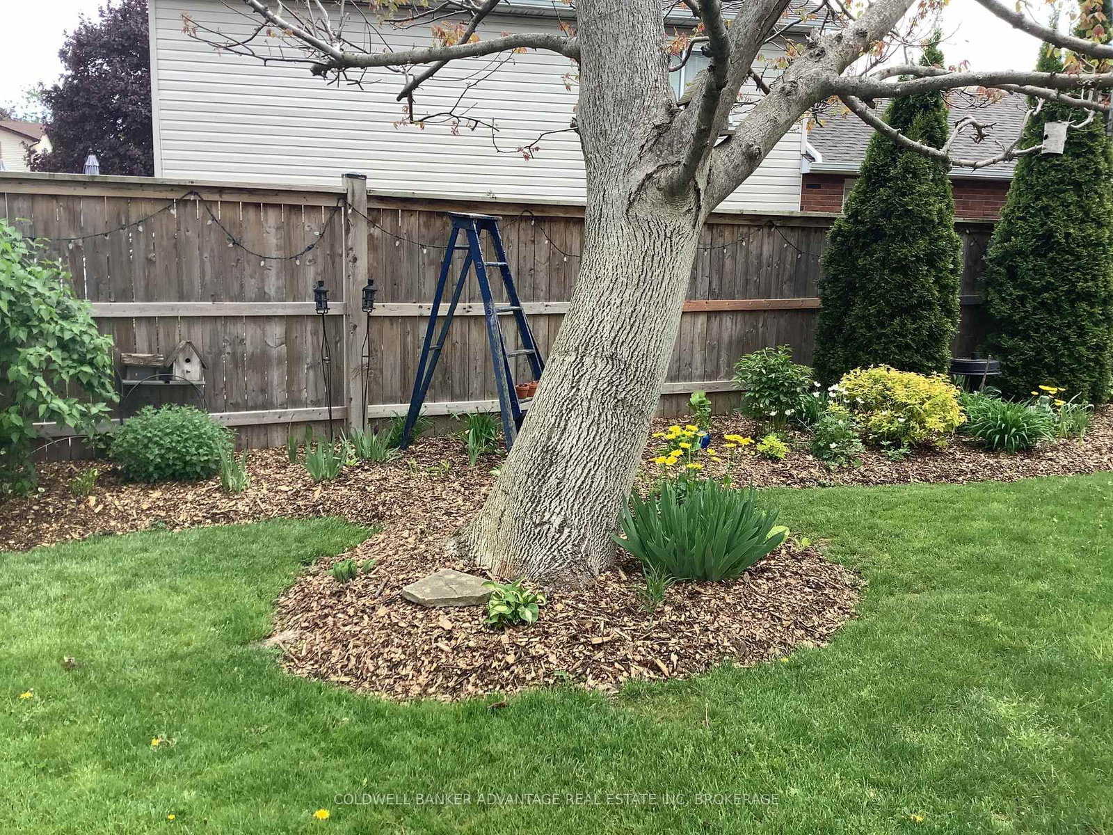 Detached House for sale at 28 Dixon Crescent, Welland, Ontario, L3C 6P4 - N. Welland - MLS: X12989722