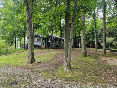 244 S Deer Bay Reach Road • Trent Lakes, ON photo 5
