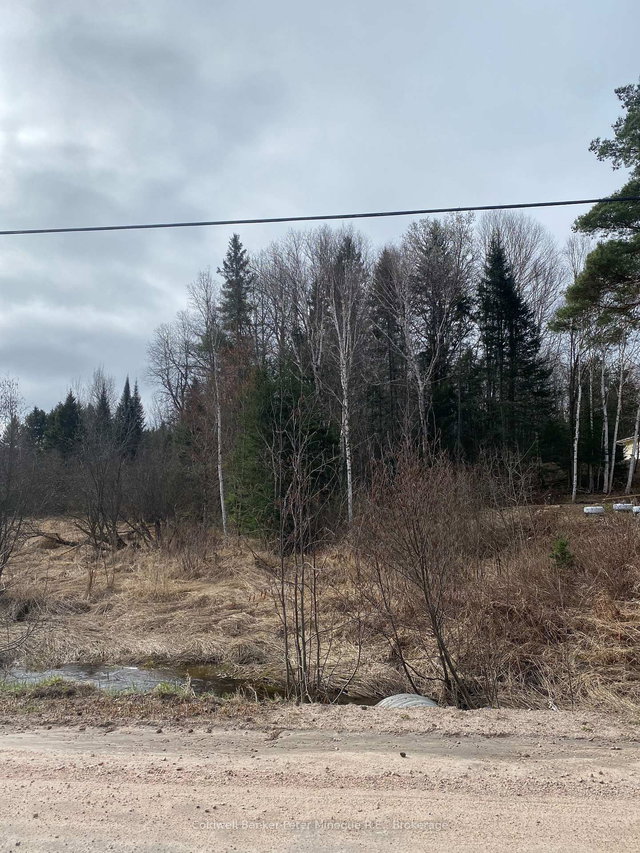 Lt 21 PCL 21923 SEC NIP; PT LT 21 CON 10 Road