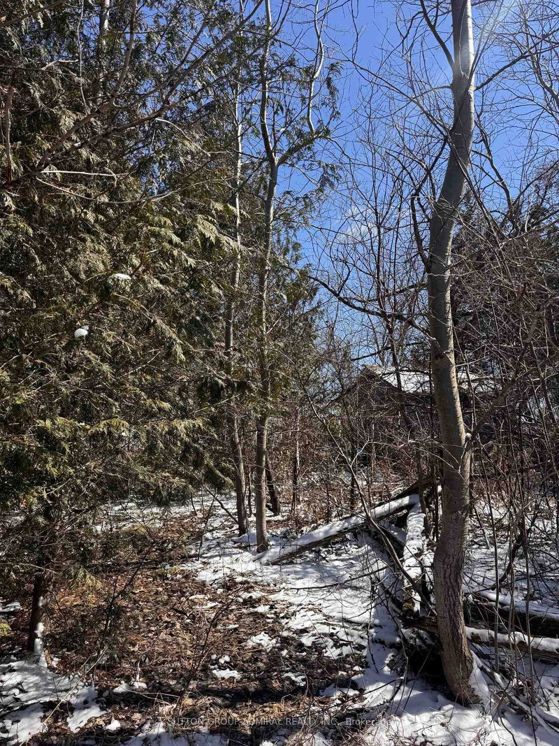 0 Concession 7, Melancthon, N0C 1B0 | Image 2