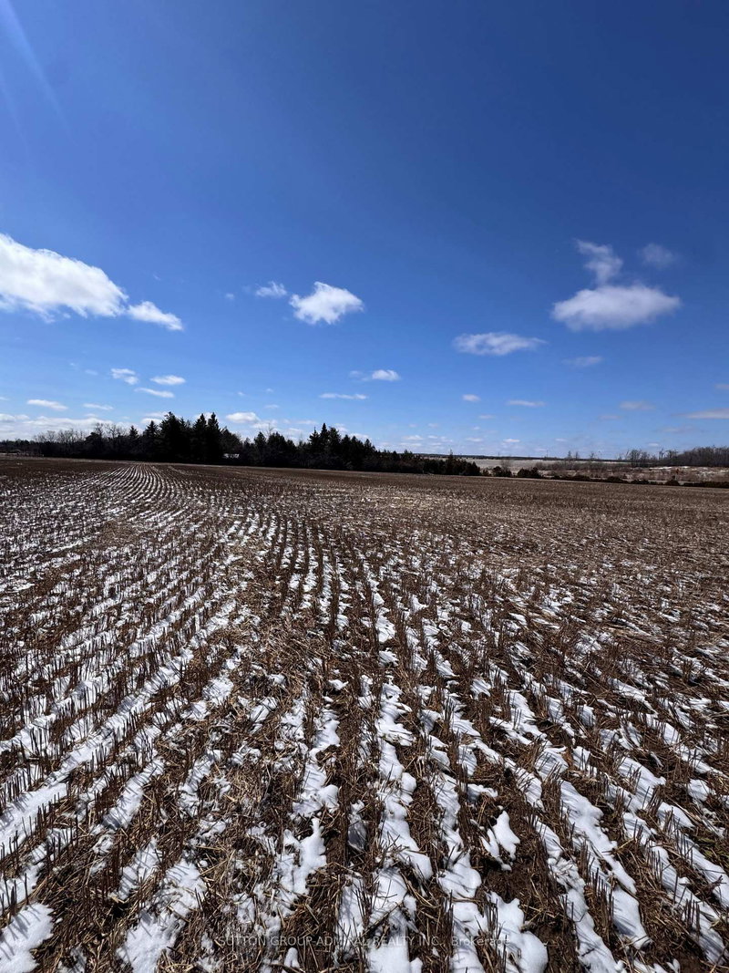 0 Concession 7, Melancthon, N0C 1B0 | Image 3