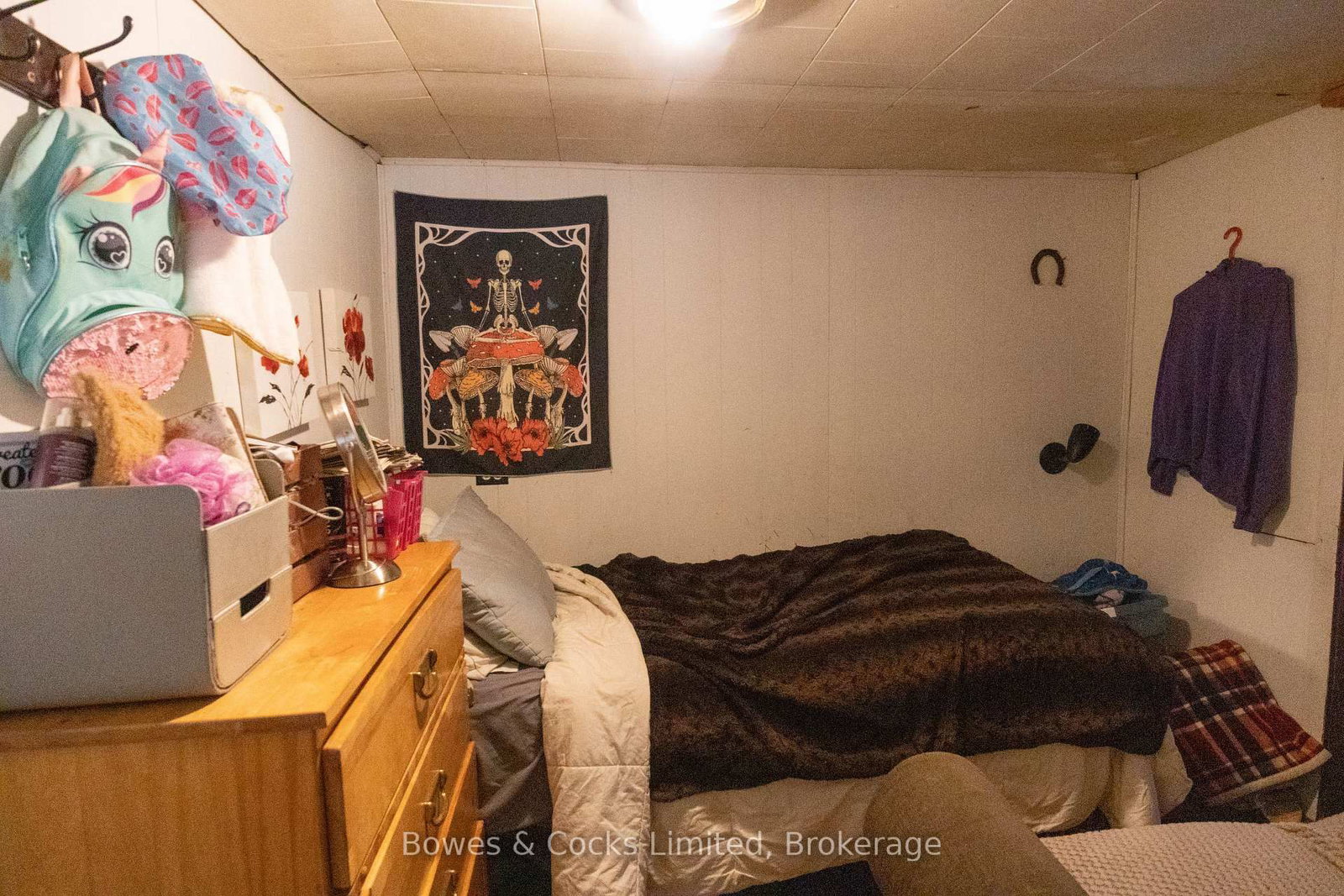 1046 Detlor Road • Bancroft, ON photo 29