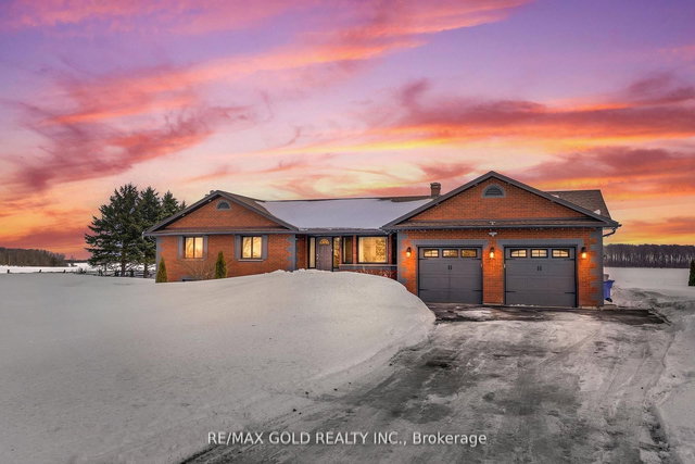 554421 Mono - Amaranth Townline