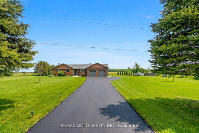 554421 Mono - Amaranth Townline