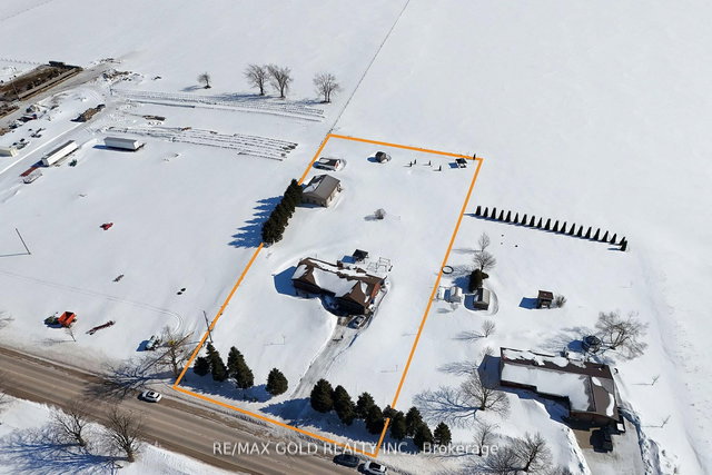 554421 Mono - Amaranth Townline