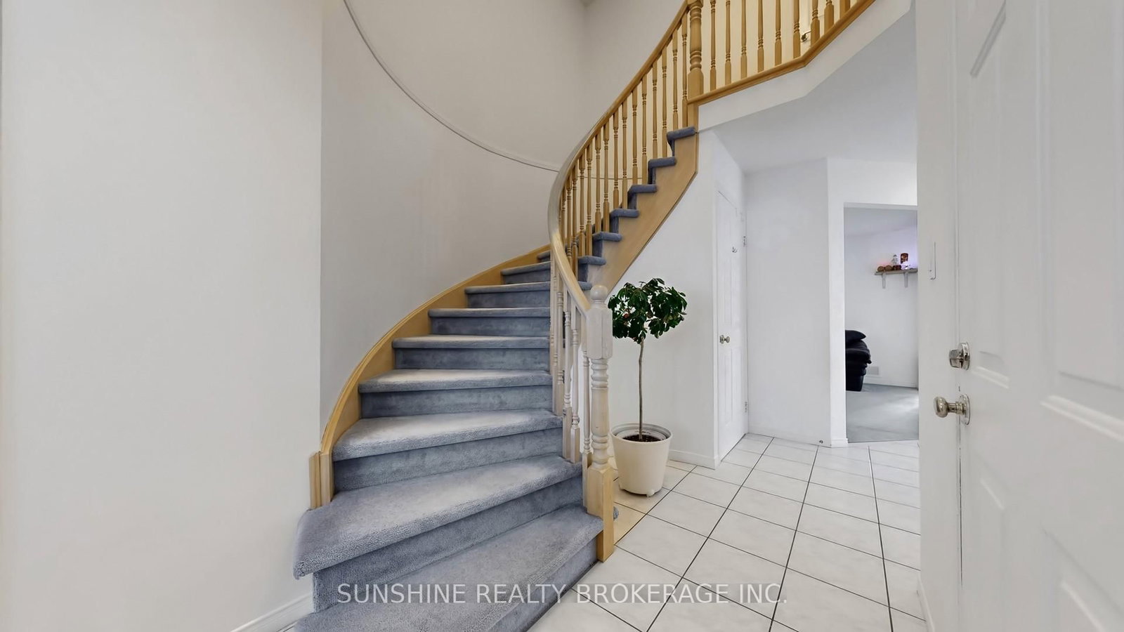 201 Fano Drive - Photo 5