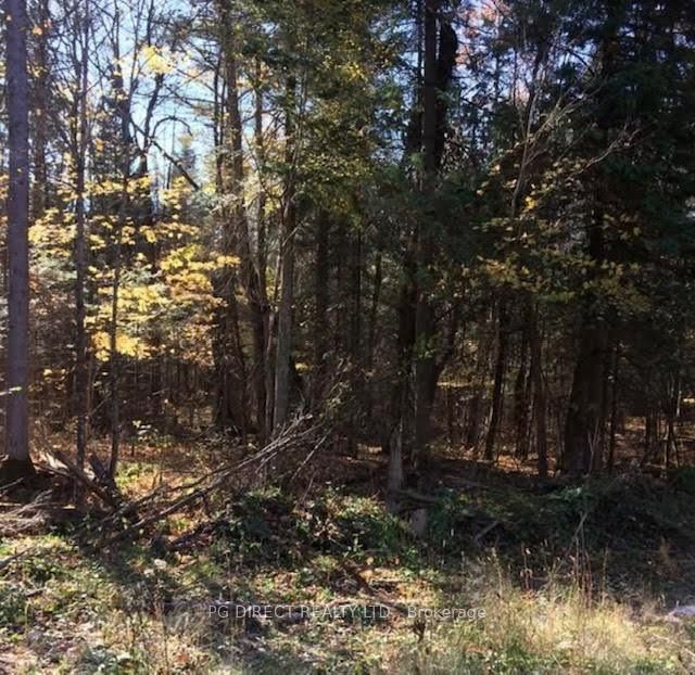 1301 Upper Spruce Hedge Road