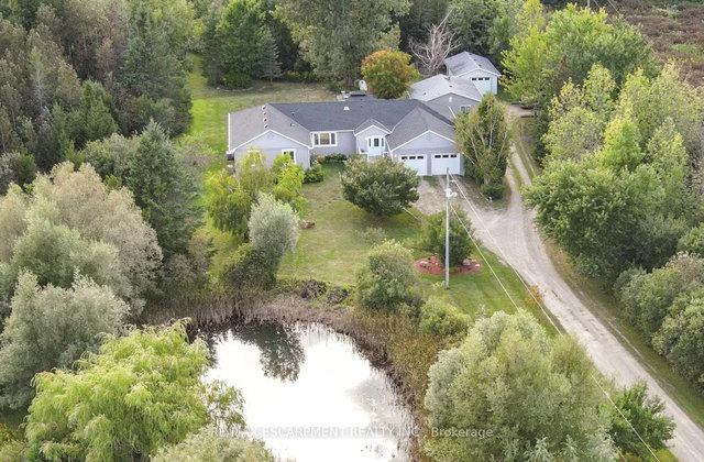 555118 MONO AMARANTH Townline