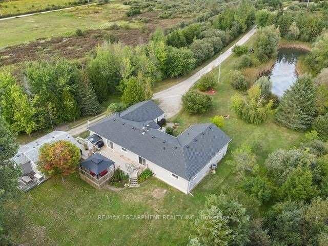 555118 MONO AMARANTH Townline