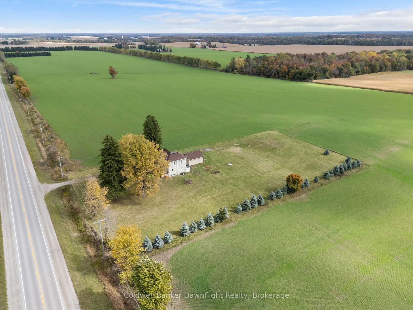 Listing Image 4