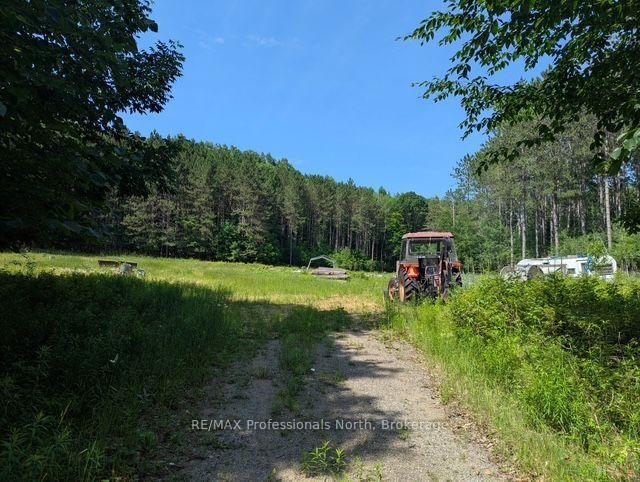 2481 North Shore Road • Algonquin Highlands, ON photo 46