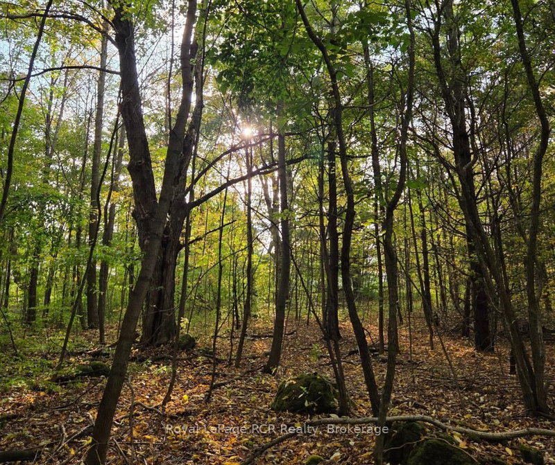 home for sale on N/A Simpson null