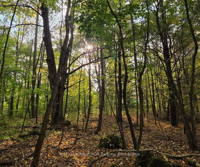 N/A Simpson undefined | Grey Highlands | Image